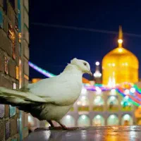 خواندن قرآن، نماز برای اموات و زندگان