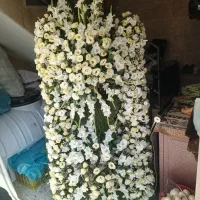 تاج گل