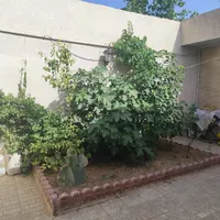خانه‌ویلایی‌درتهران‌منطقه20 فاصله تاامام علی فقط8k|فروش خانه و ویلا|تهران, ظهیرآباد|دیوار