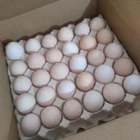 شکسته و ترک خورده