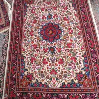 گل سرخ شش متری