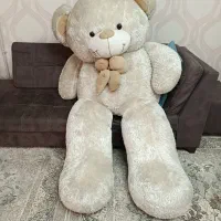 خرس دو متری