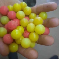 توپ فومی پینت بال(بی رنگ)