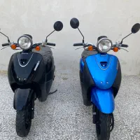 موتور پاکشتی هوندا تودی f