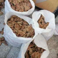 نان خشک