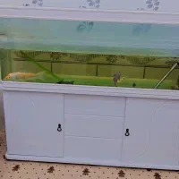 اکواریوم شیک وزیبا