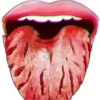 یاد گیری طب سنتی باگوشی