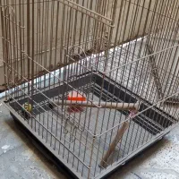 قفس پرنده