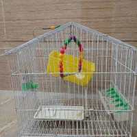 قفس پرنده