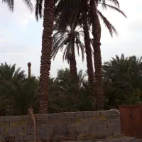 اب-موتور-سرنسا