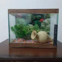 آکواریوم رومیزی