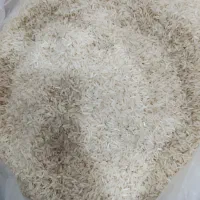 برنج بذر طارم هاشمی کاشت دره شهر