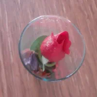 فروش گل کادویی تراریوم