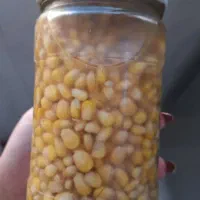 چای|خوردنی و آشامیدنی|نیشابور, پاستور|دیوار