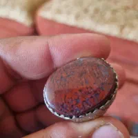 انگشتر شجر خزه ای