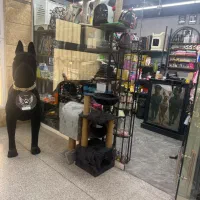 همکار خانم پت شاپ