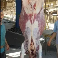 (قصاب سلاخ سیار درمحل) گوسفندوگاوگوساله درکل تهران