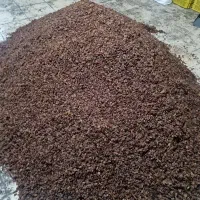 کشمش کاشمر از من کشاورز خریدکن