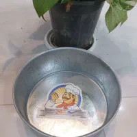 قالب کیک