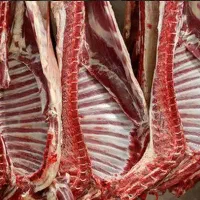 فروش انواع گوشت زیر فی بازار