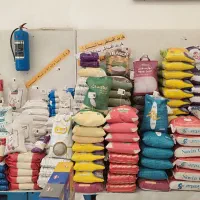 کالابرگ رو پیشاپیش و با تخفیفات خرید کن