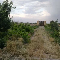 خانه-باغ-5000-متری-سند6-دانگ-55-متر-بنا