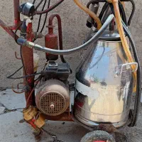 شیر دوش گاوی