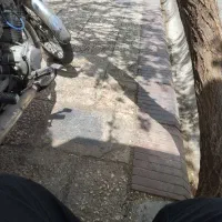 تلویزیون