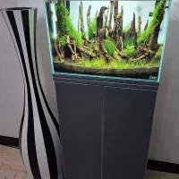 خدمات تخصصی آکواریوم