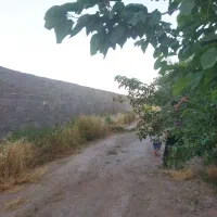 باغ-سند-دار-آدران-ده-حسن