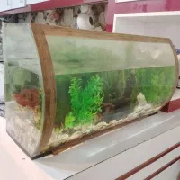 اکواریوم بالوازم