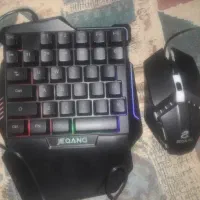 موس و کیبورد