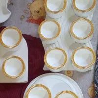 اجیل خوری