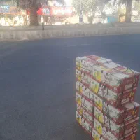 انبه به قیمت عمده