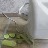 نایسردایسر آلمانی