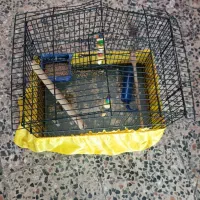 قفس پرنده