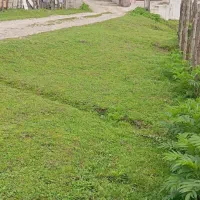 زمین ویلای کوهپایه ای
