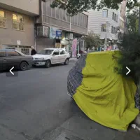 اجاره مغازه /اپارتمان / دربستی
