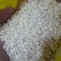 برنج عنبربو عطیه درجه یک / شانی شاپ