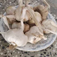 سیر همدان