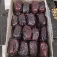 خرما مضافتی