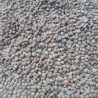 حبوبات لوبیا،نخود،عدس
