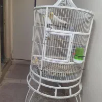 قفسه پرنده