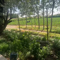 زمین کشاورزی