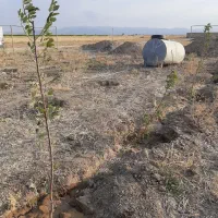 زمین-روستای-مرادآباد