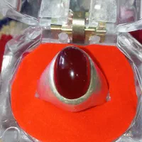 انگشتر رکاب فیلی