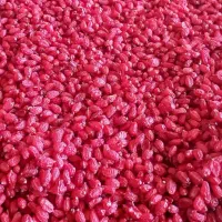 زرشک|خوردنی و آشامیدنی|نیشابور, فضل|دیوار