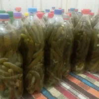 خیارشور ترد خوشمزه ارگانیک