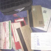 پیدا شده