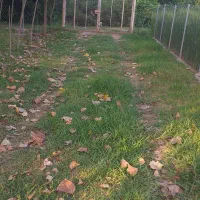 فروش یک قطعه زمین باغی زراعی